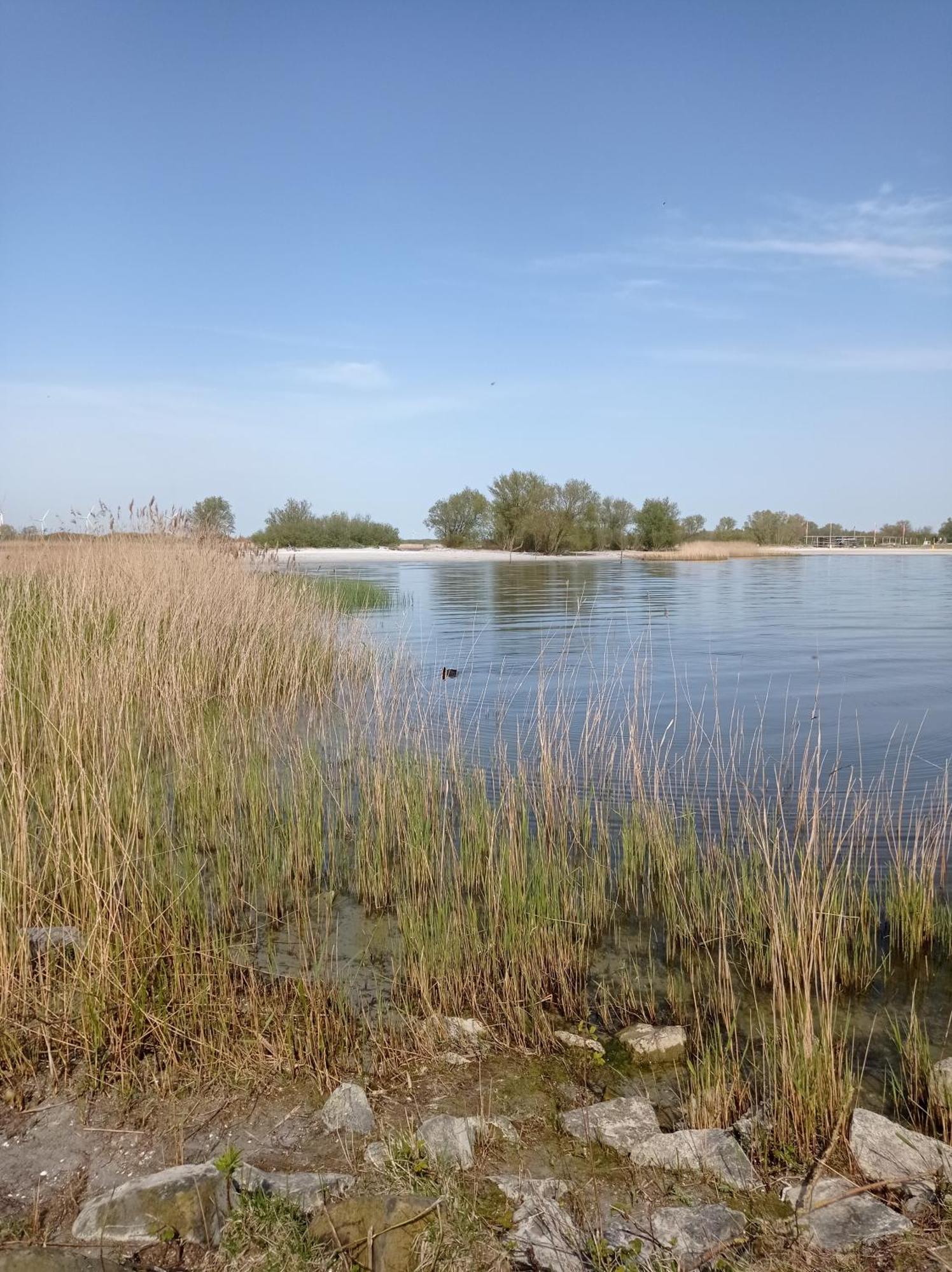 Appartement Ijsselmeer Makkum Strand Luaran gambar